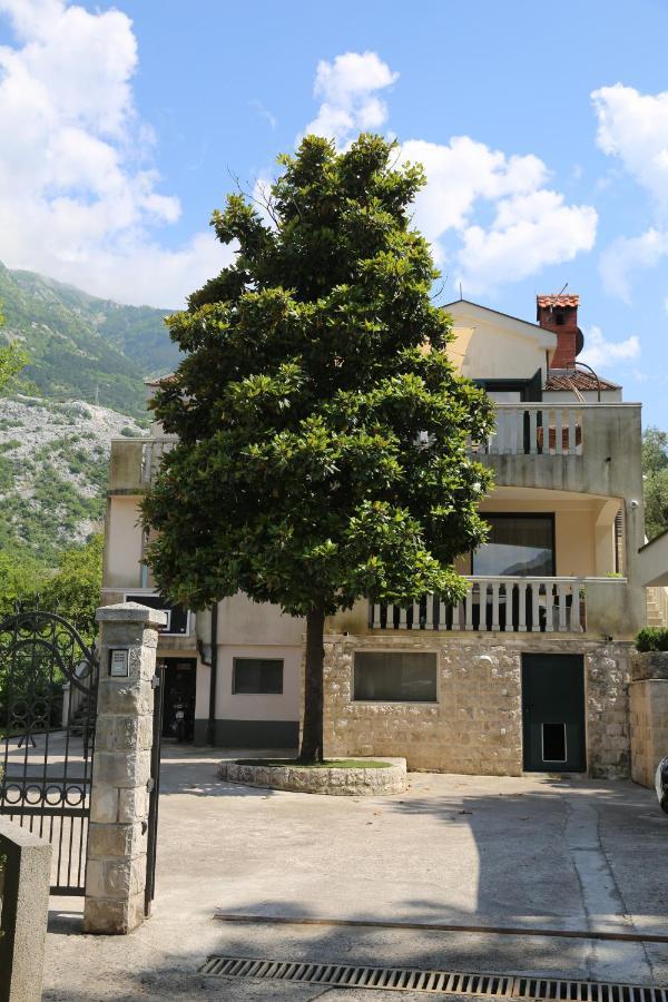 Apartmani Dijana 2 Kotor Ngoại thất bức ảnh