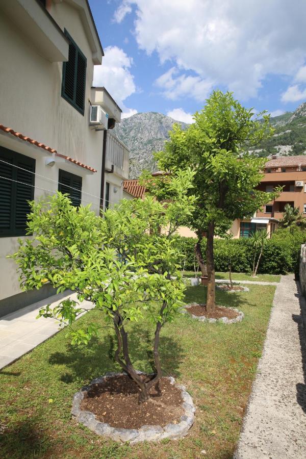 Apartmani Dijana 2 Kotor Ngoại thất bức ảnh